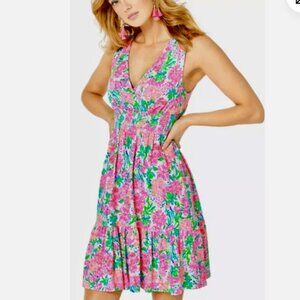 NWOT Lilly Pulitzer Vivette Fit n Flare Floral Dress Resort - Size 00 XXS